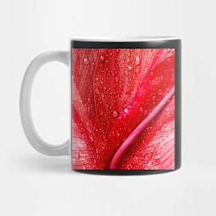Rain on a Red Calla Lily Mug